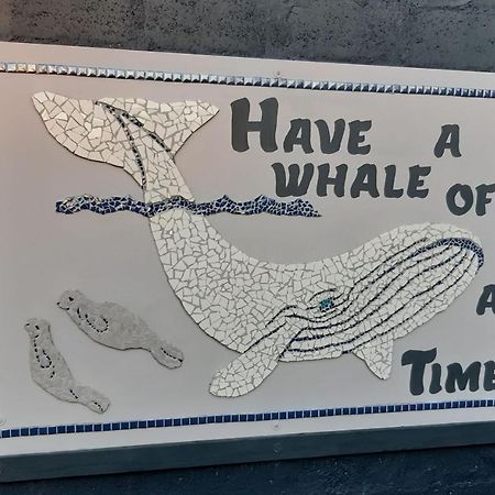 Whale Watch Accommodation 드 켈더스 외부 사진