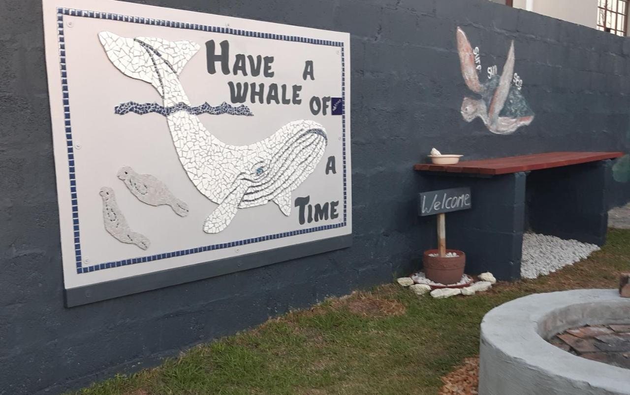 Whale Watch Accommodation 드 켈더스 외부 사진