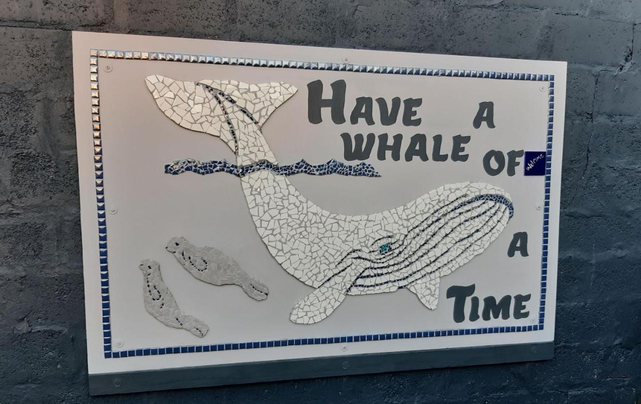 Whale Watch Accommodation 드 켈더스 외부 사진