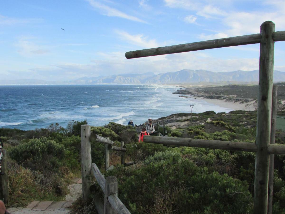 Whale Watch Accommodation 드 켈더스 외부 사진